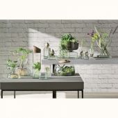 Набор ваз Canopy, 13 см, 3 шт., LSA International, арт.:G1583-00-161