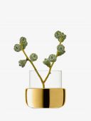 Ваза/фонарь Aurum высотой 8.5 см, LSA. G1746-08-358